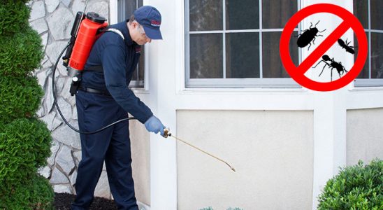 Güzelbahçe Hamam Böceği İlaçlama böcek ilaçlama ve haşere kontrolü — ilaclama-tr.com